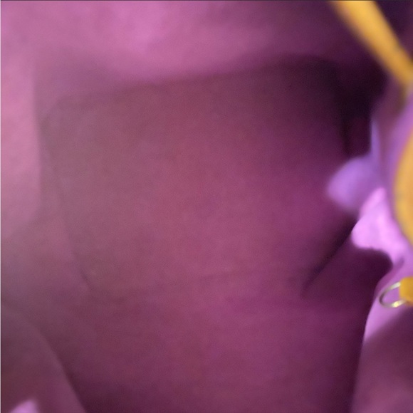 Louis Vuitton Shoulder bag Epl Noe - Picture 10 of 11